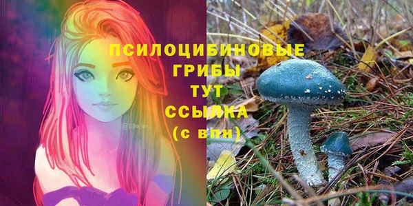 альфа пвп Коряжма