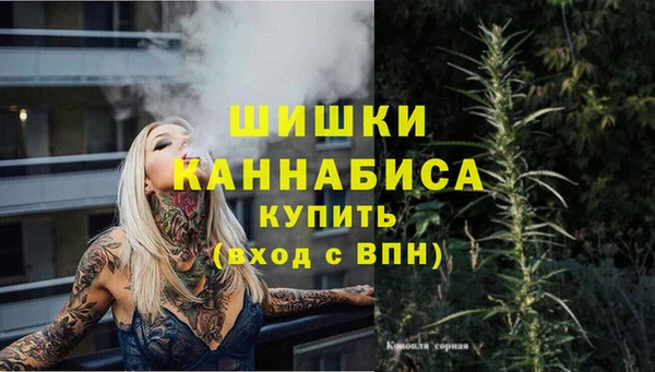 дмт Корсаков