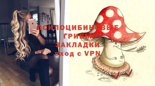 дмт Корсаков