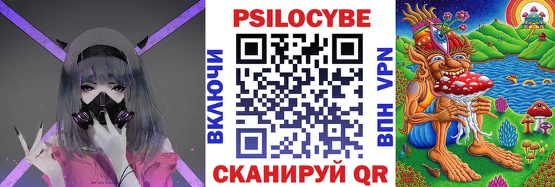 Купить  Весьегонск  Галлюциногенные грибы Cubensis 